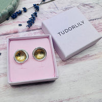 Eclipse Domed Earrings Silver & 14kt Gold